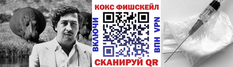 Кокаин Fish Scale  гидра ССЫЛКА  Ярцево 