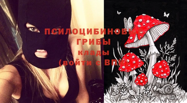 скорость Баксан